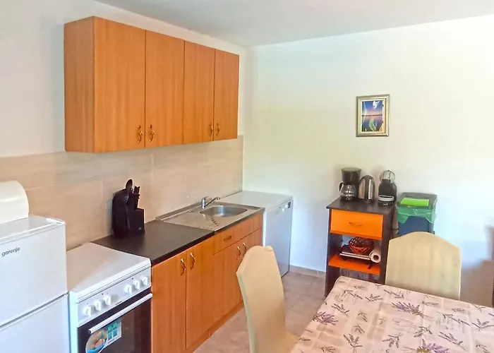House Stone Curlew 5 * Lisane Tinjske
